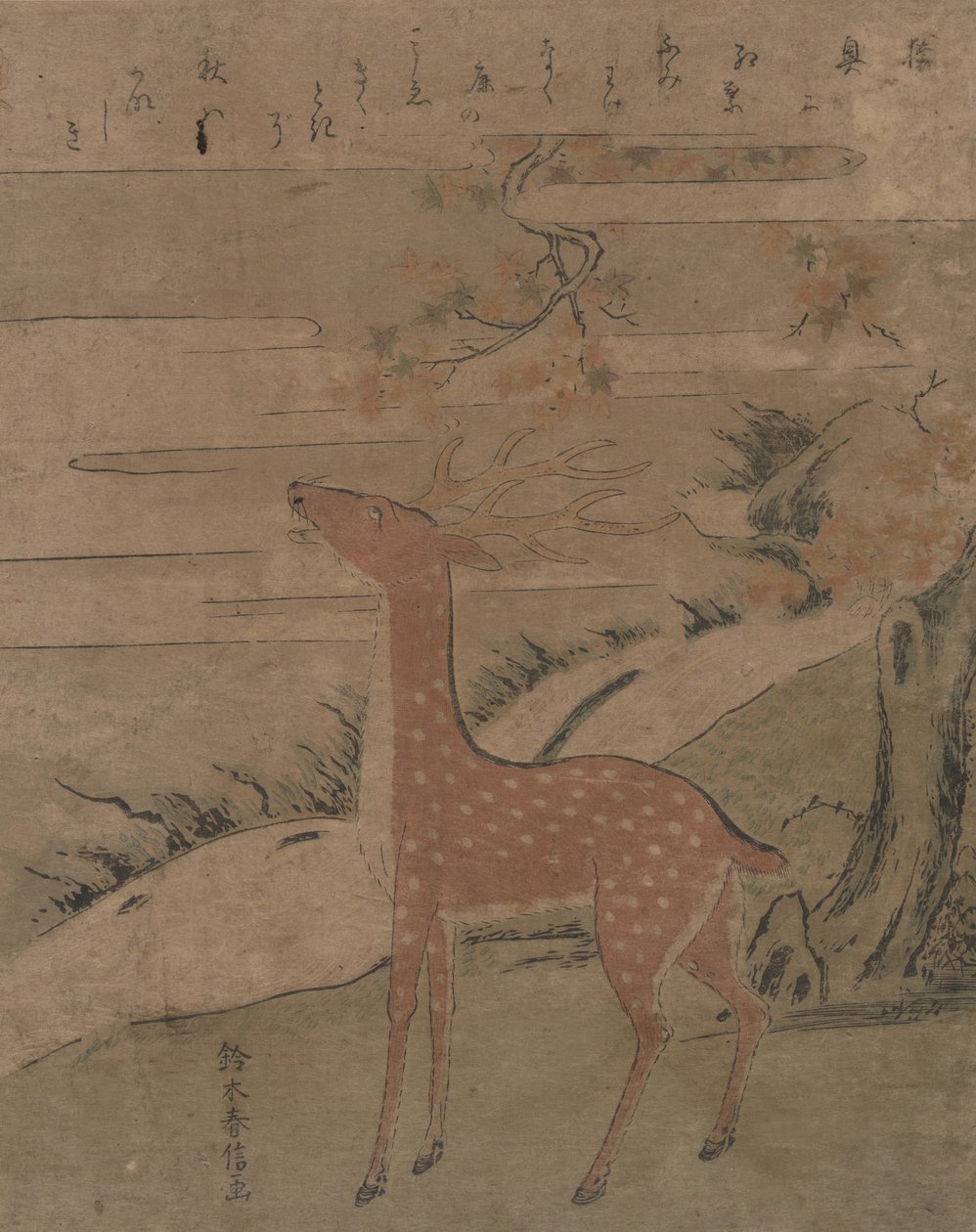 Le cri du cerf, vers 1760 - Suzuki Harunobu