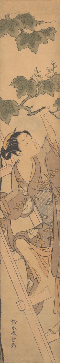 Jeune femme grimpant à une échelle, vers 1768 - Suzuki Harunobu