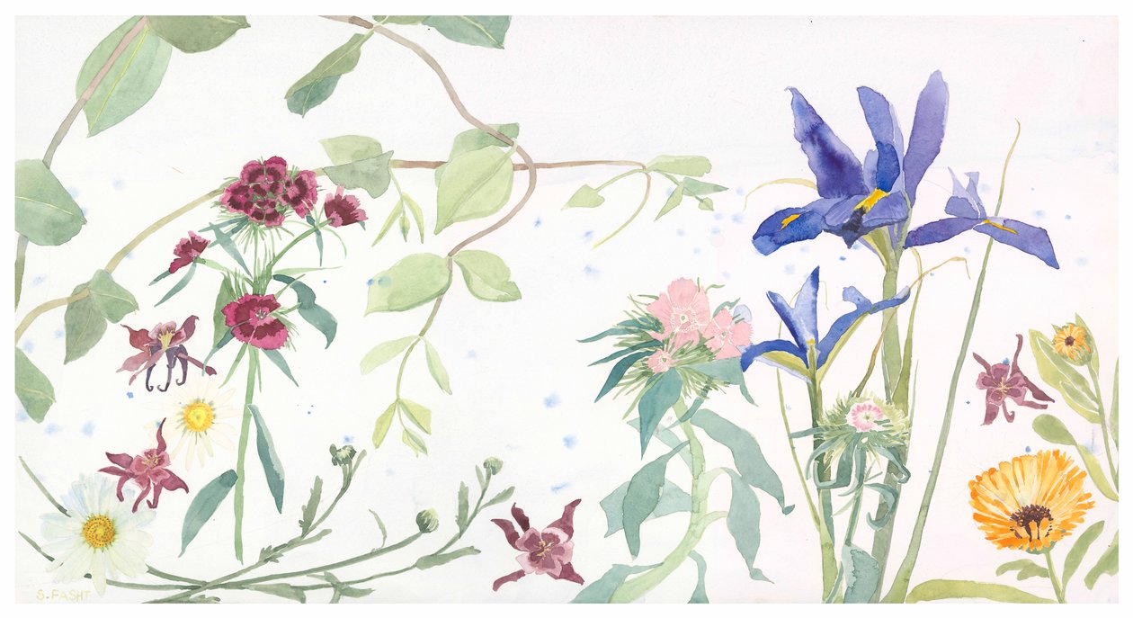 Iris et Sweet Williams, 2020 (aquarelle sur papier) - Suzy Fasht