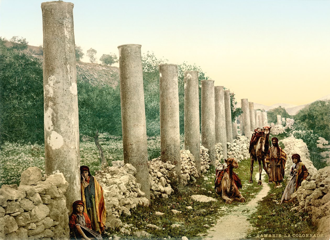 Rue colonnade romaine à Samarie - Swiss Photographer