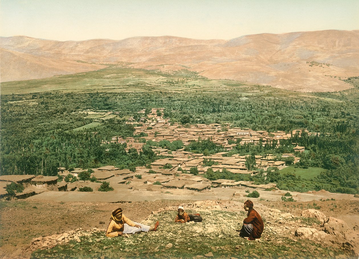 Zebdani dans l