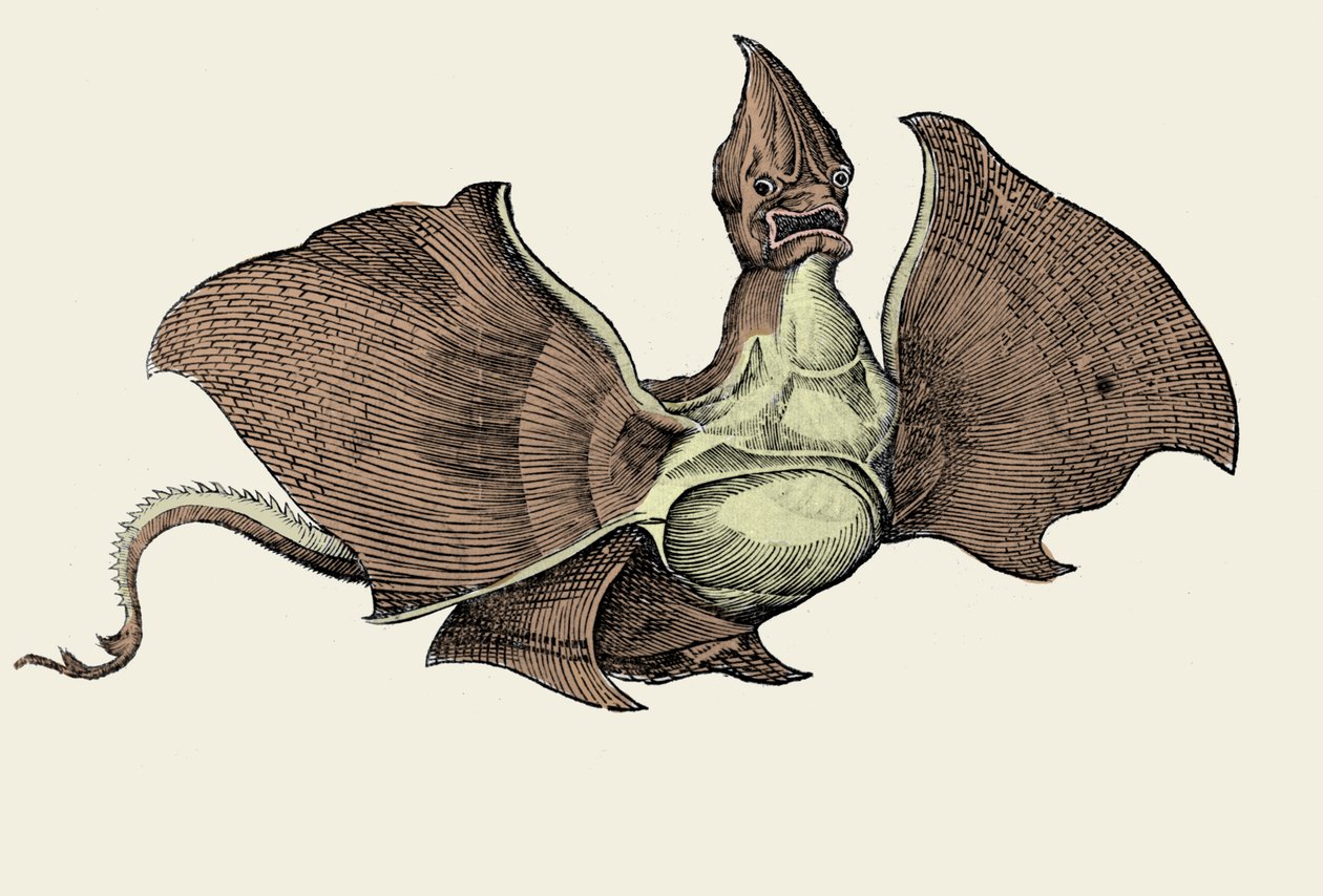 Monstre marin fantastique, illustration de 
