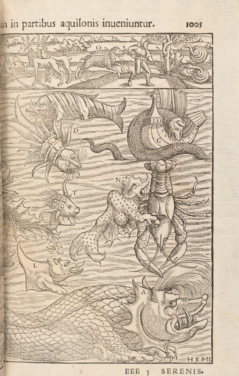 Page 1005 de Cosmographiae Universalis par Sebastian Muenster, Bâle, 1572 - Swiss School