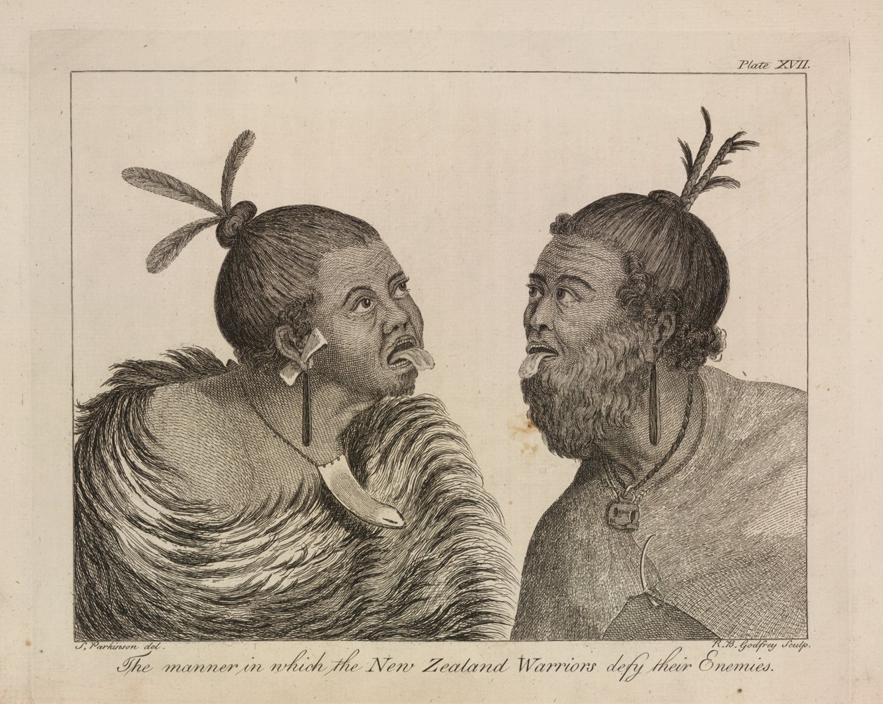 L.R.294.c.7, planche XVII Guerriers néo-zélandais - Sydney (after) Parkinson