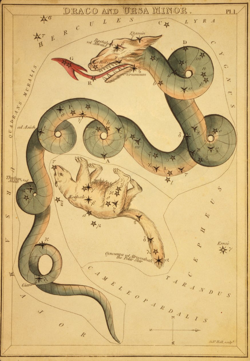 Draco et Ursa Minor, illustration de 