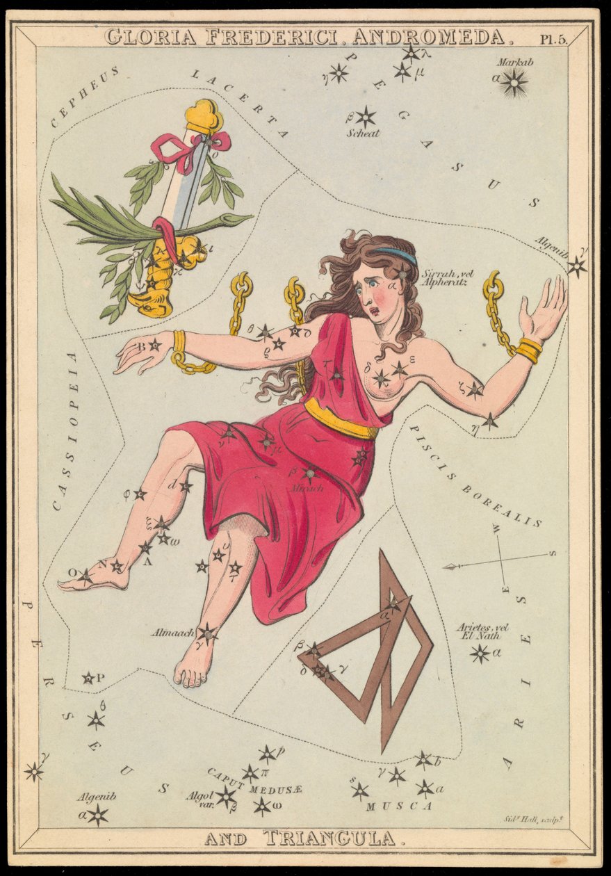 Gloria Frederich, Andromède et Triangula, vers 1825 (carte, papier, tissu) - Sydney Hall