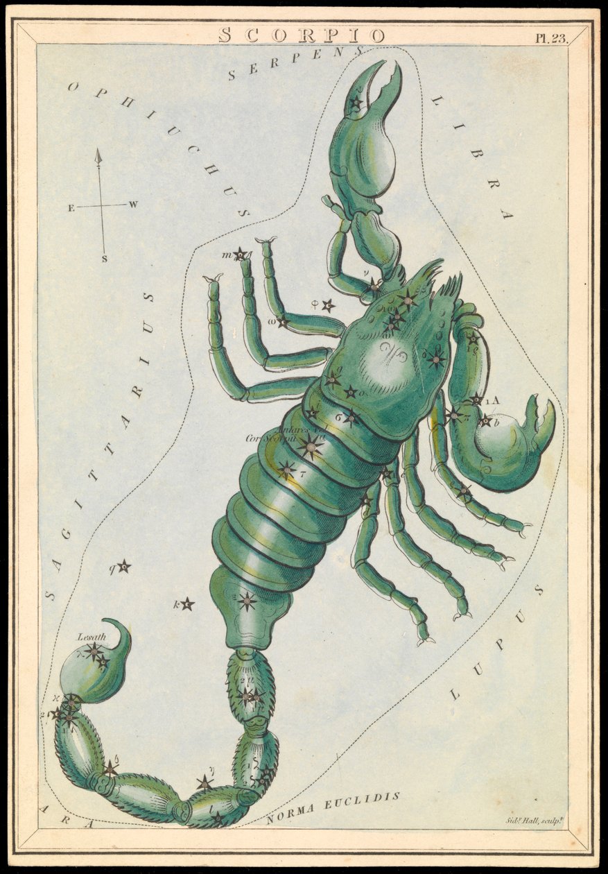 Scorpion, c.1825 - Sydney Hall