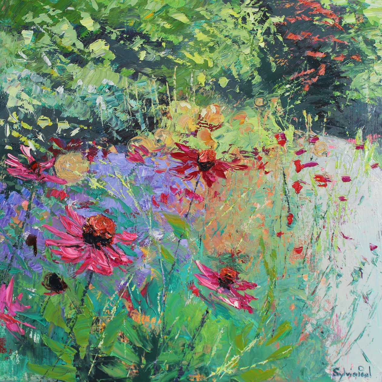Echinacea in the Border, 2025 (acrylique) - Sylvia Paul