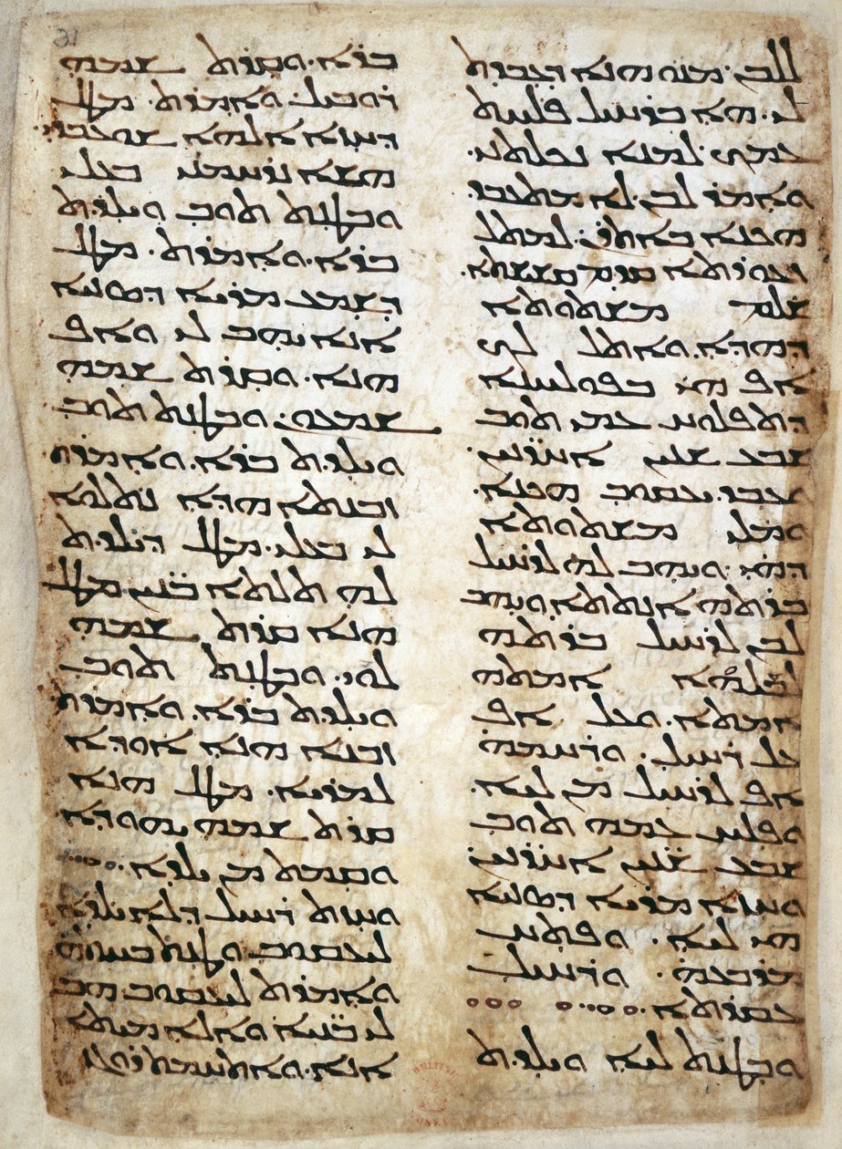 Add. 14425, f.31, Page de texte du Pentateuque. (Genèse, Exode, Nombres, Deutéronome), 464 - Syrian Syrian