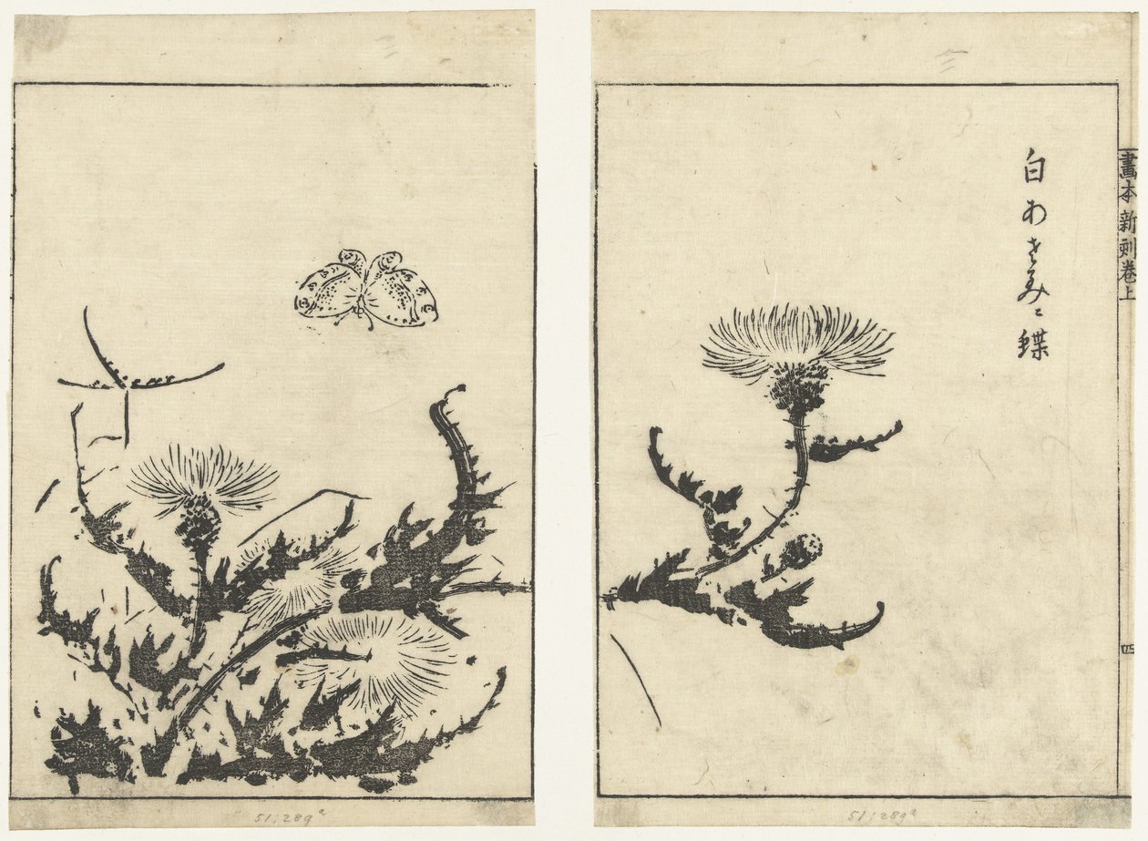 Chardons et papillon (Gahon shinkoku makiage) - Tachibana Morikuni (attributed to)