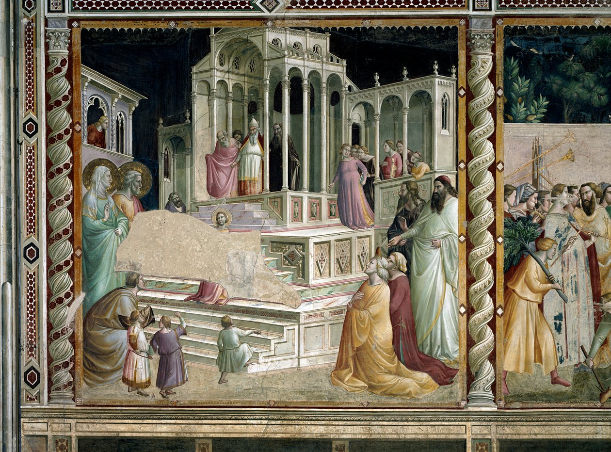 La présentation de la Vierge - Taddeo Gaddi