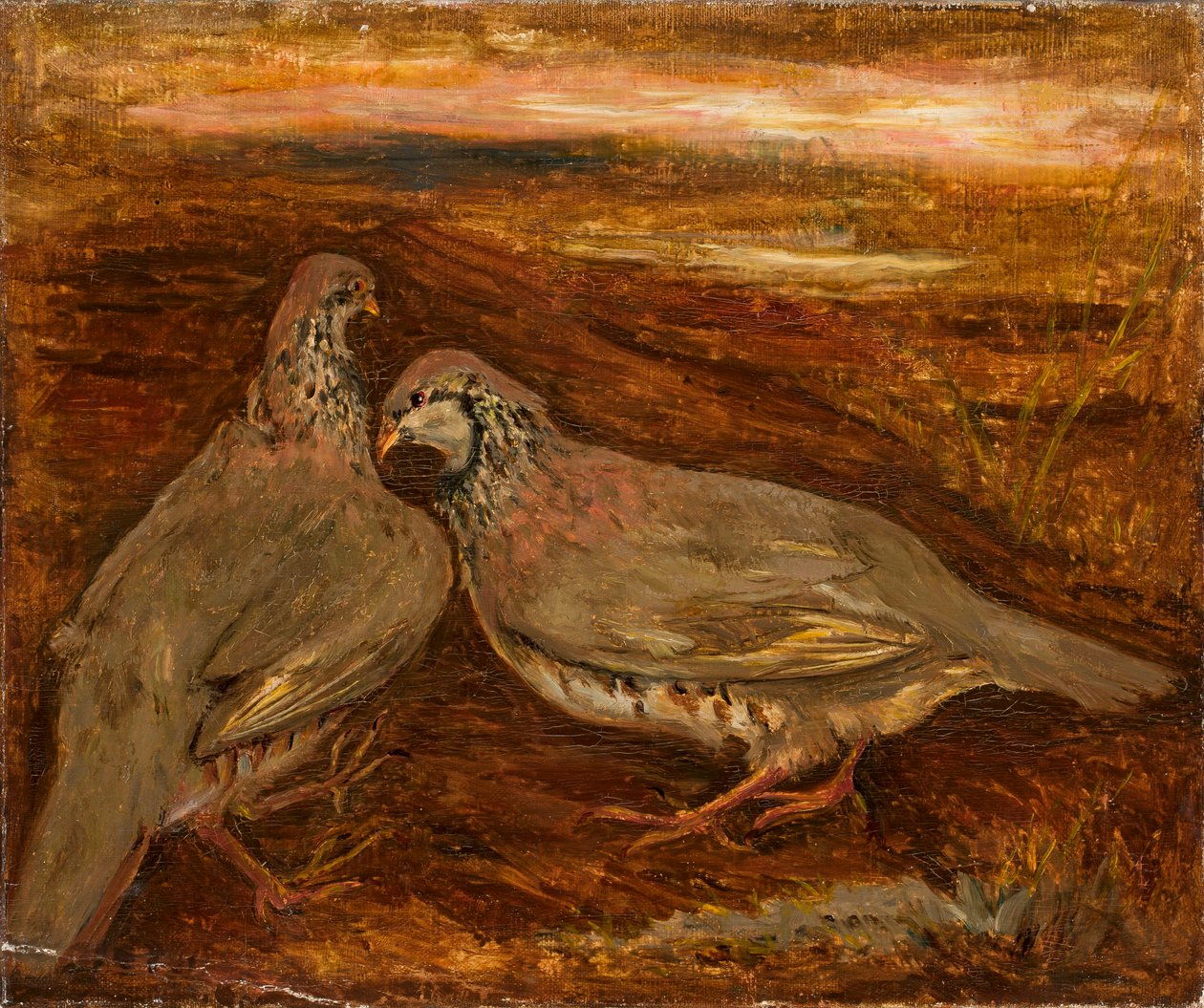 Deux oiseaux - Tadeusz Makowski