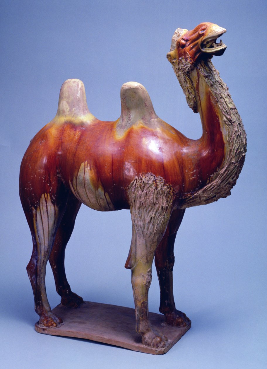 Chameau, dynastie Tang - Tang Dynasty Chinese School