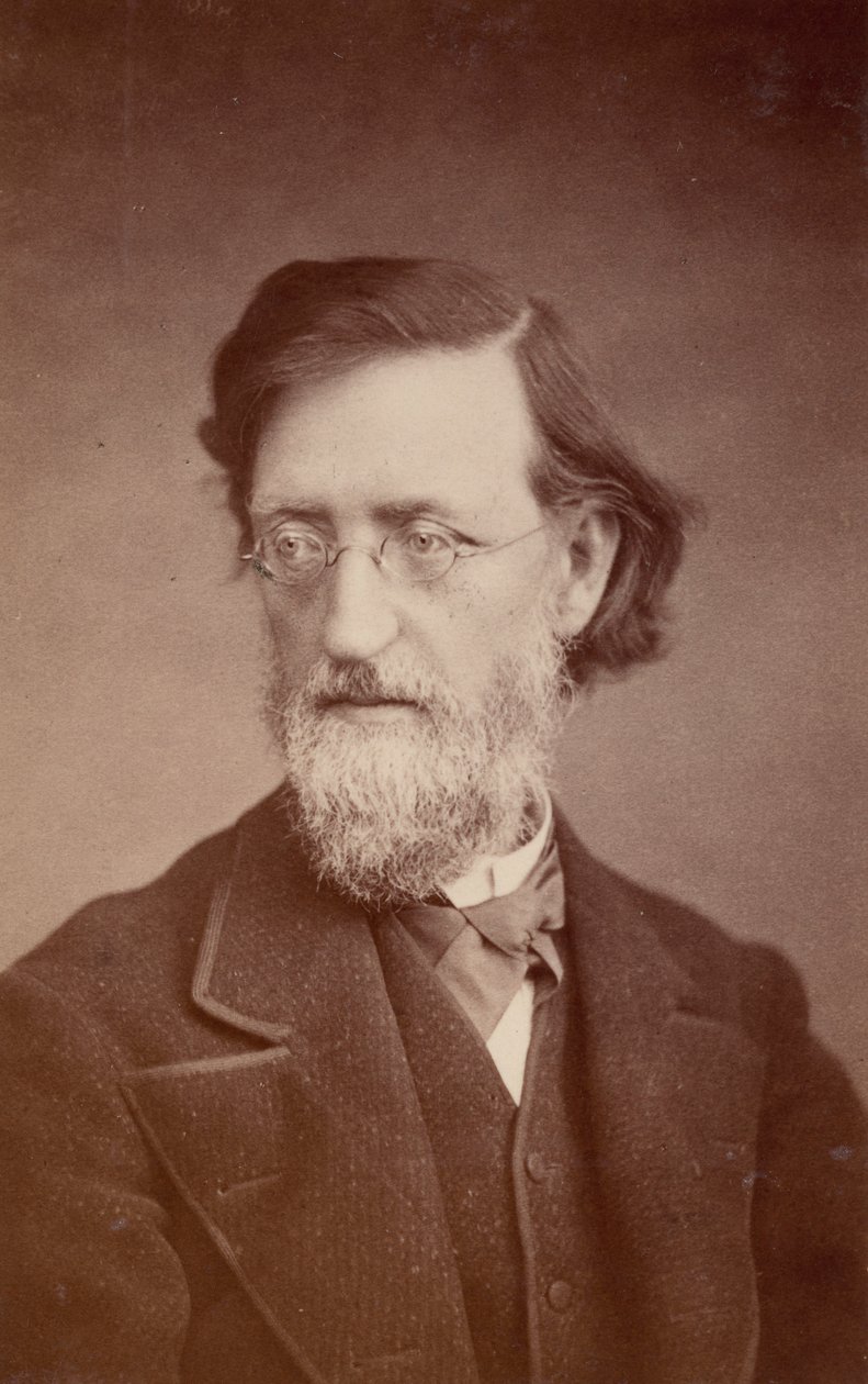 Portrait de John Peter Lesley 1819-1903 - Taylor and Brown