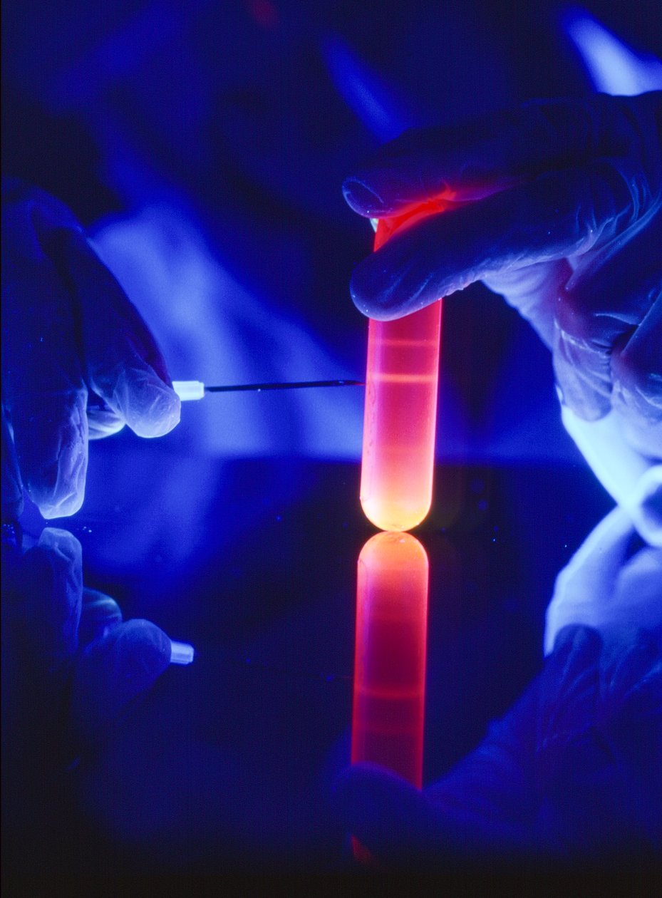 Extraction de nucléotides d