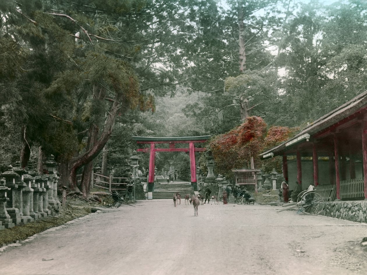 Entrée du sanctuaire des lanternes dans le parc de Kasauga Taisha, Nara, vers 1900 - 1915 (photographie) - Teijiro Takagi