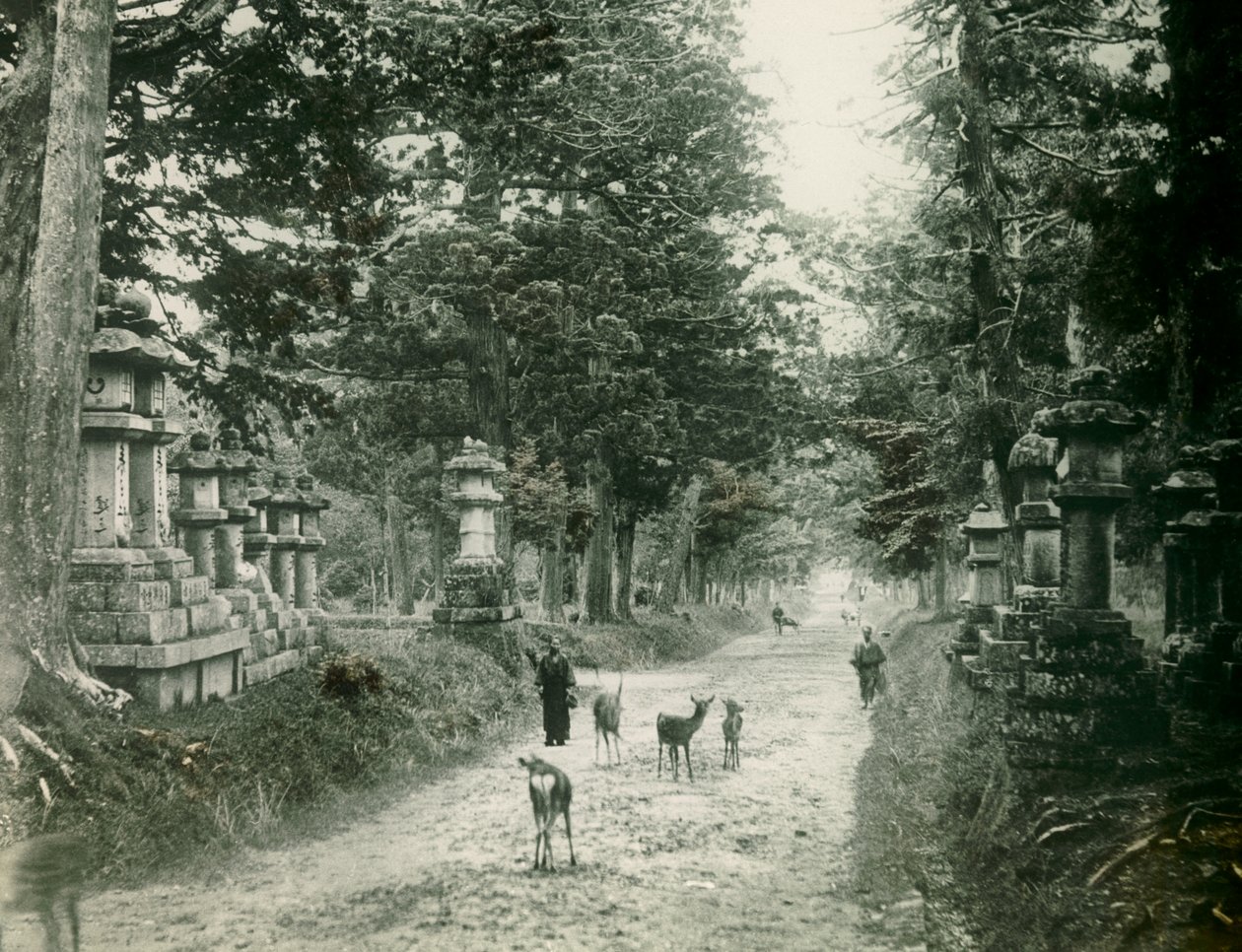 Parc Kasauga Taisha à Nara, vers 1900 - 1915 (photographie) - Teijiro Takagi
