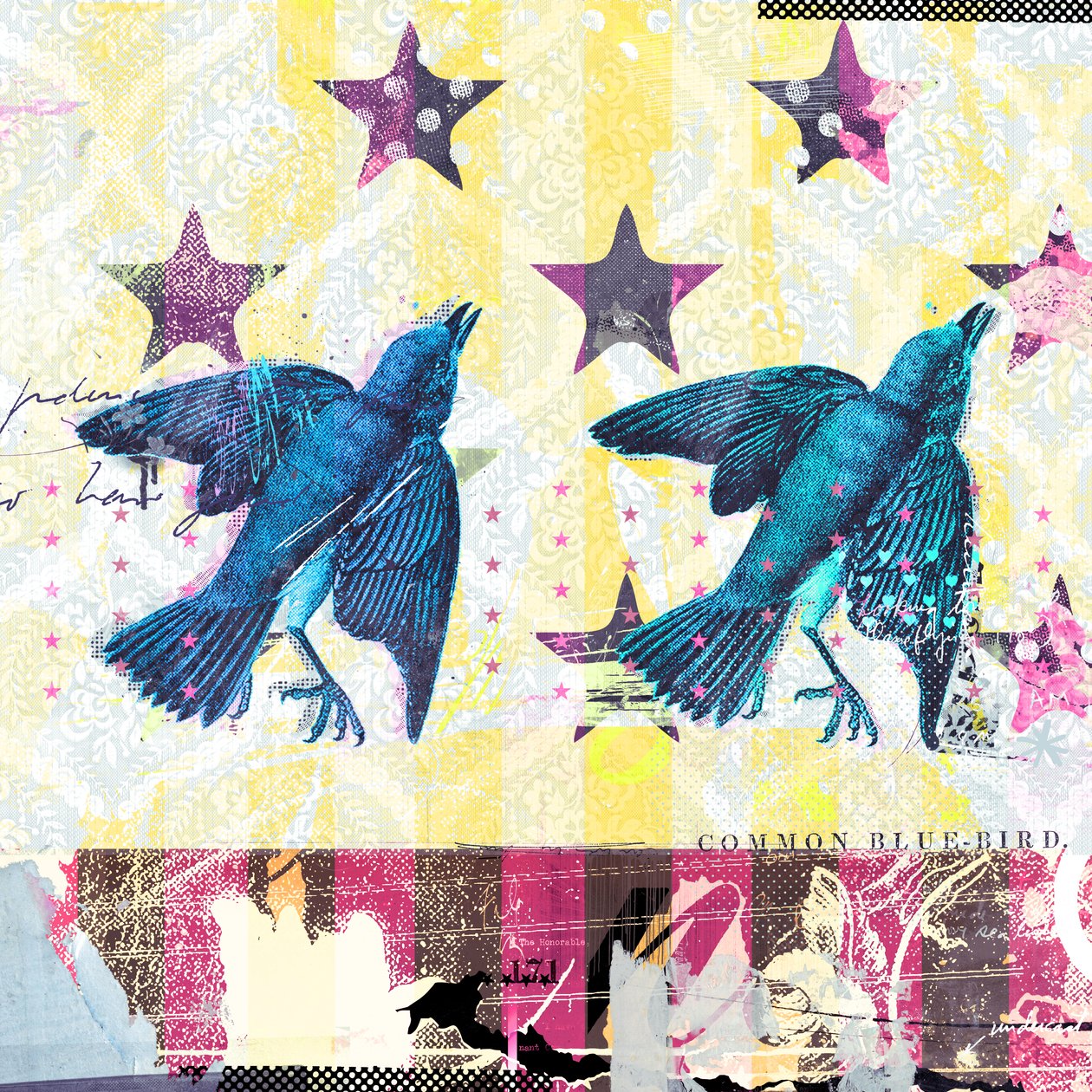 Oiseaux en Série - Teis Albers