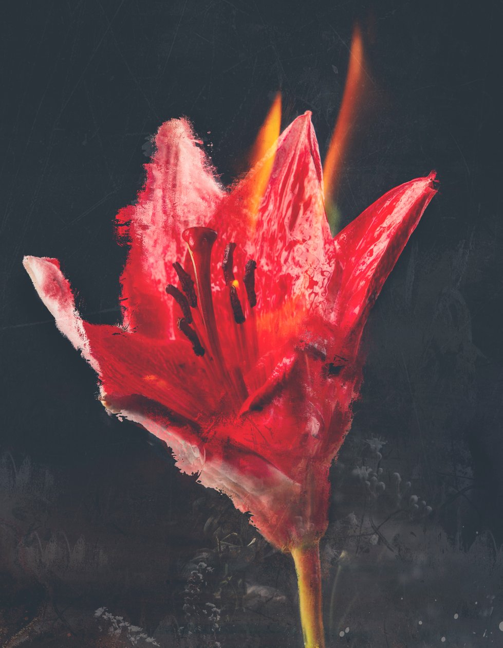 Combustion - Teis Albers