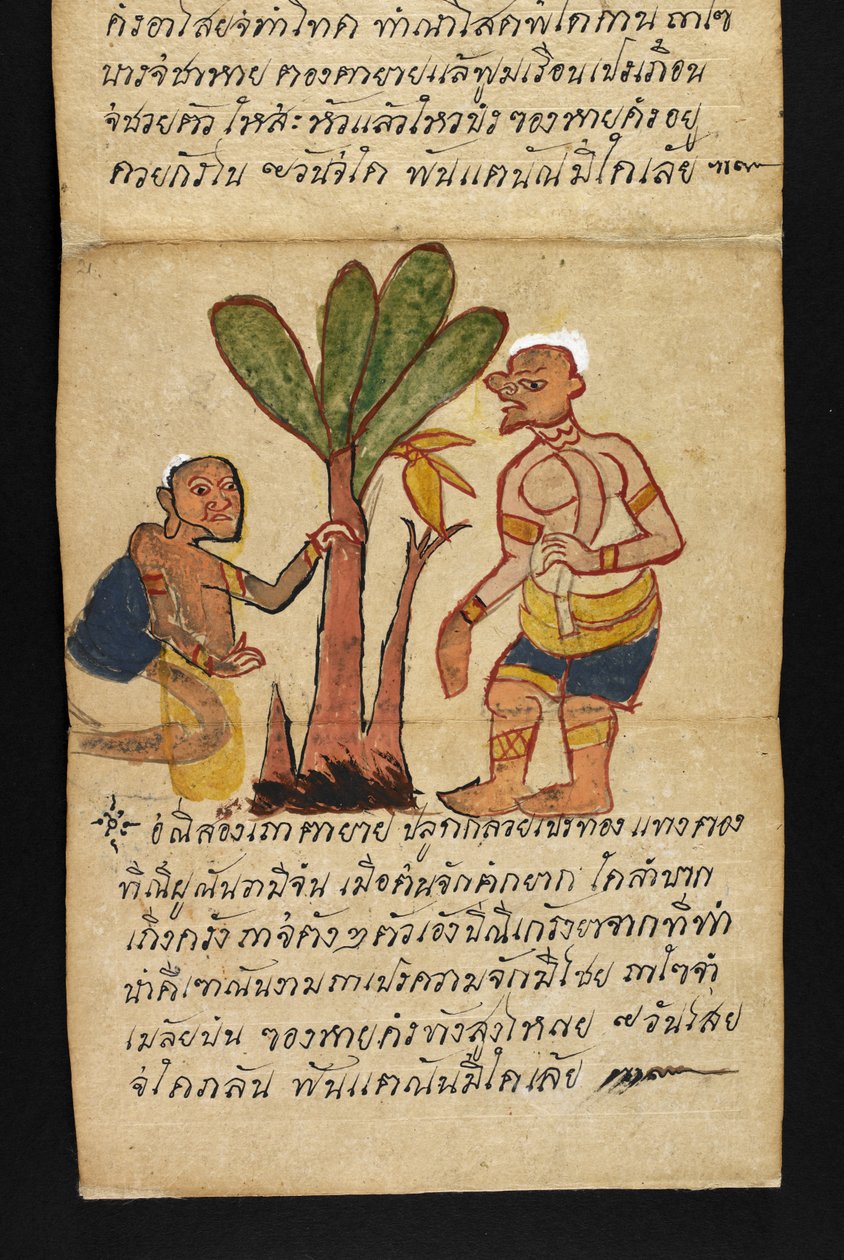 Satra. Sur la divination et les conseils pour une vie heureuse et saine (livre pliant en papier) - Thai School