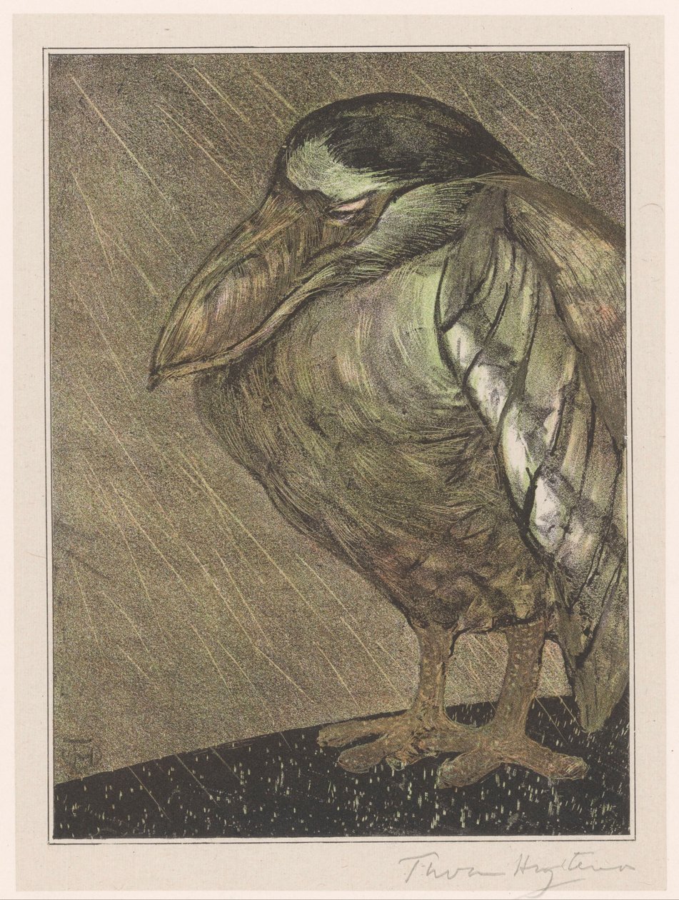 Héron bihoreau sous la pluie - Theo van Hoytema (signed by artist)