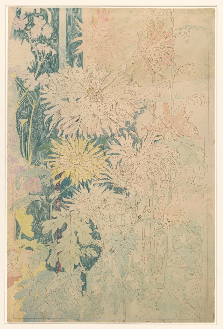 Chrysanthèmes et quelques autres fleurs d