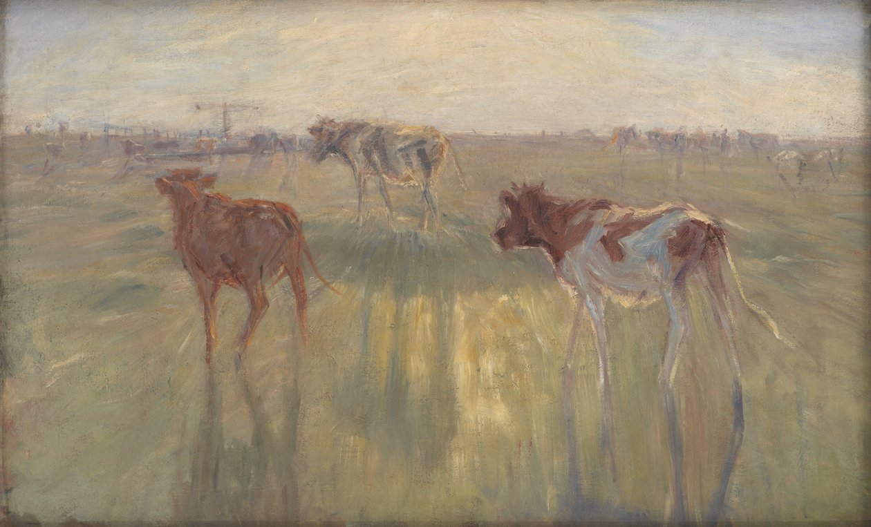 Bétail vu contre le soleil sur l