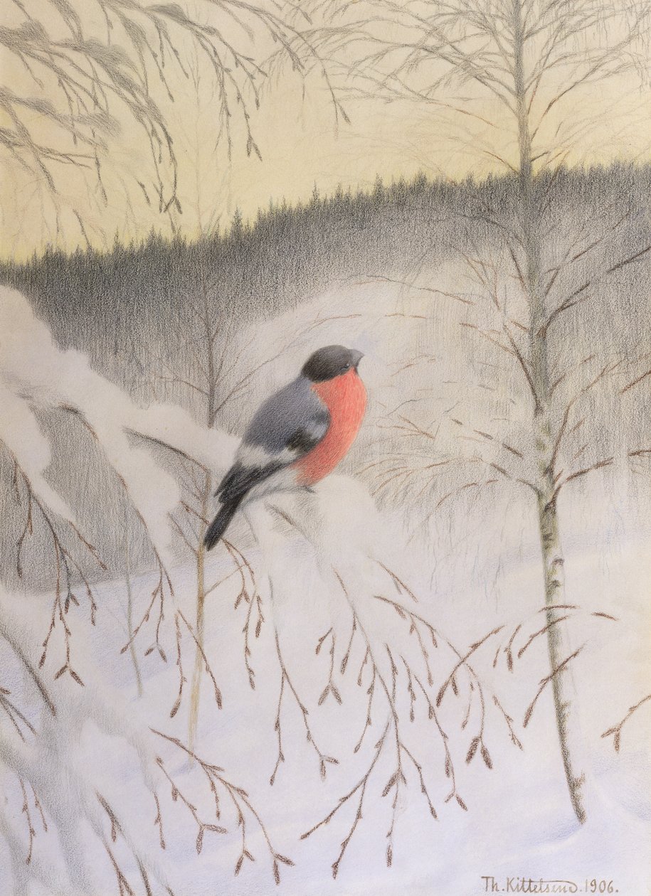 Bouvreuil sur une branche givrée - Theodor Kittelsen