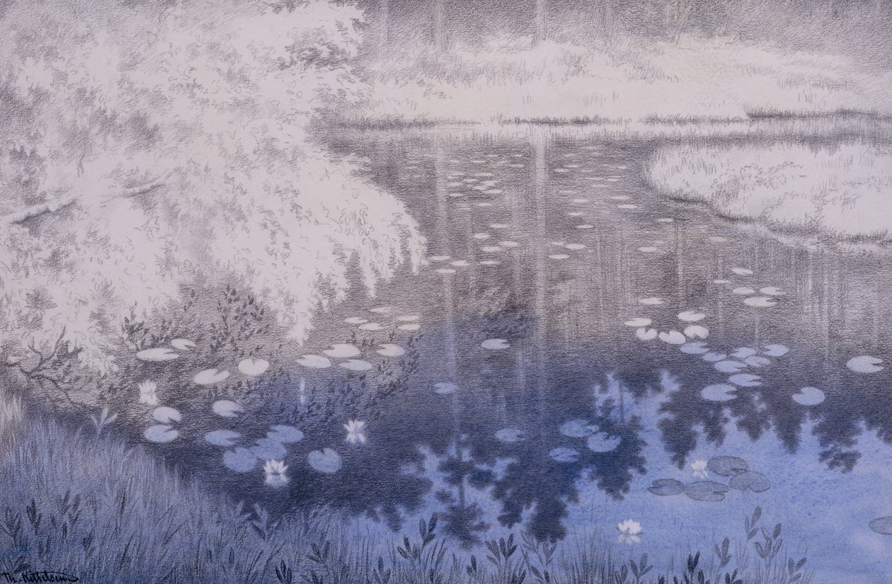 Il y a un étang à Svartebudale - Theodor Kittelsen