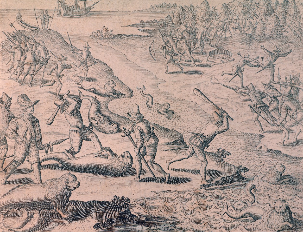 Massacre des lions de mer par les explorateurs - Theodor de Bry
