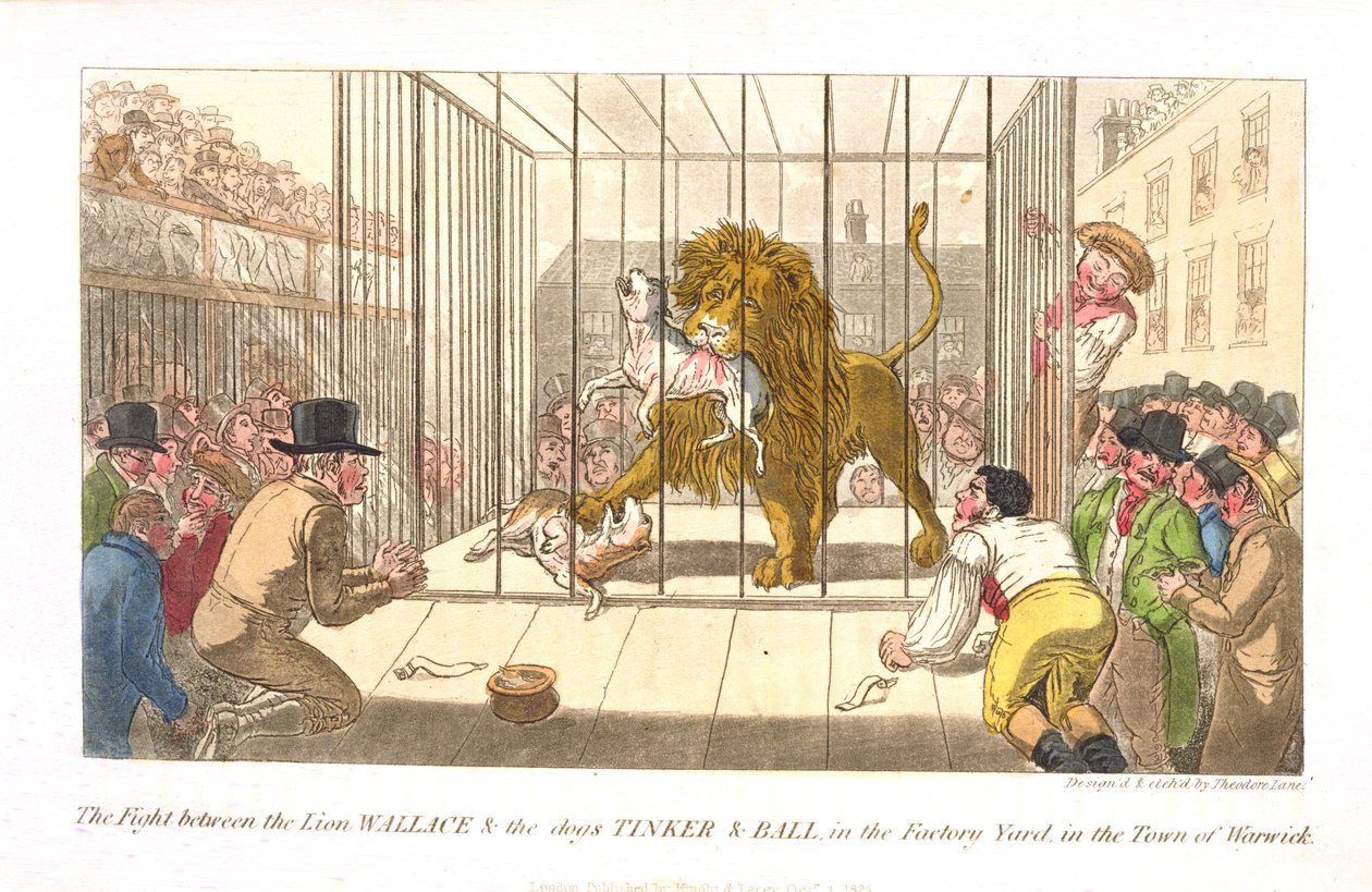 Le combat entre le lion Wallace et les chiens Tinker et Ball dans la cour de l