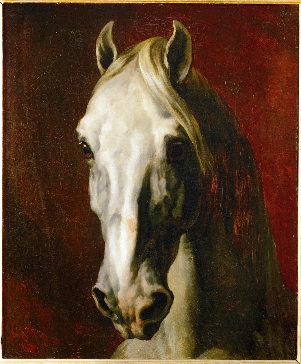 Tête de cheval blanc ... - Theodore Gericault
