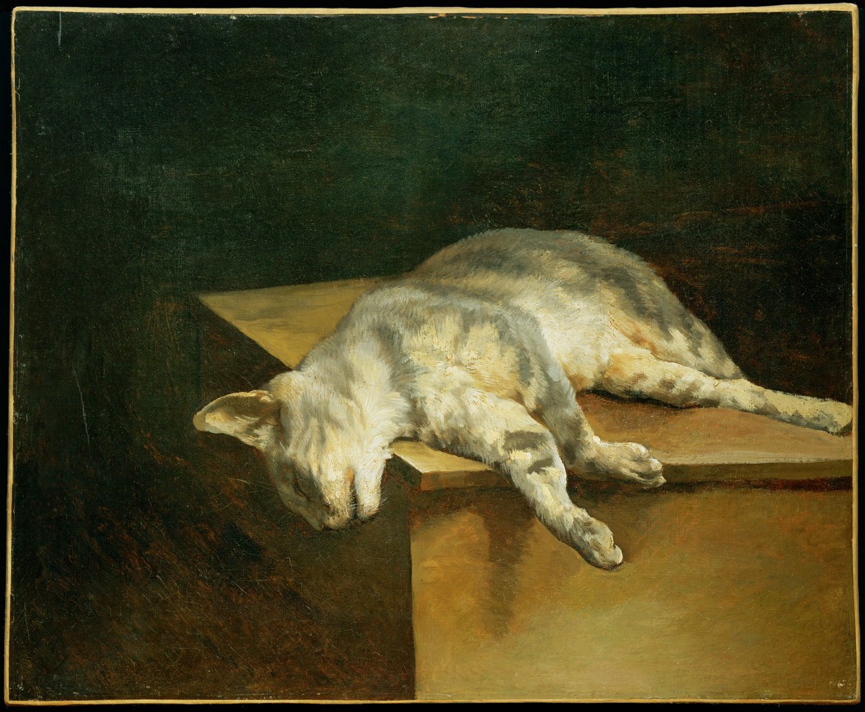 Le chat mort - The dead cat ... - Theodore Gericault