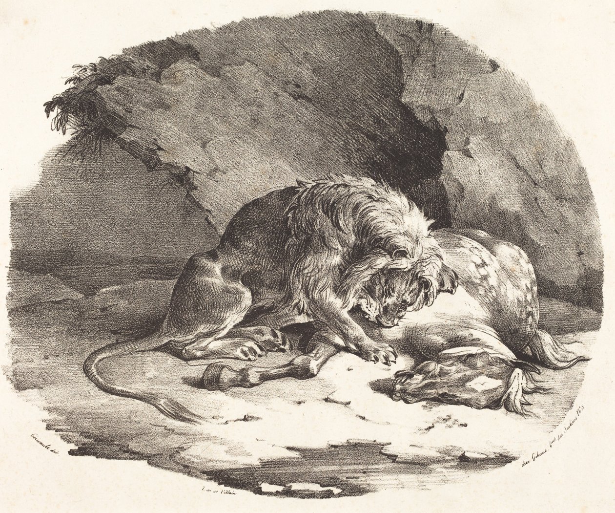 Un lion dévorant un cheval - Theodore Gericault