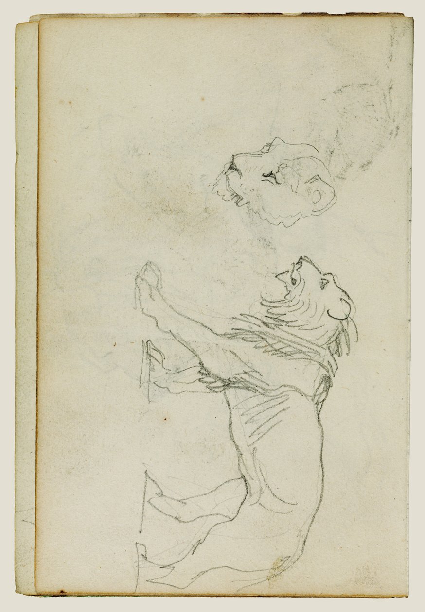 Lion marchant, tête de lionne - Theodore Gericault