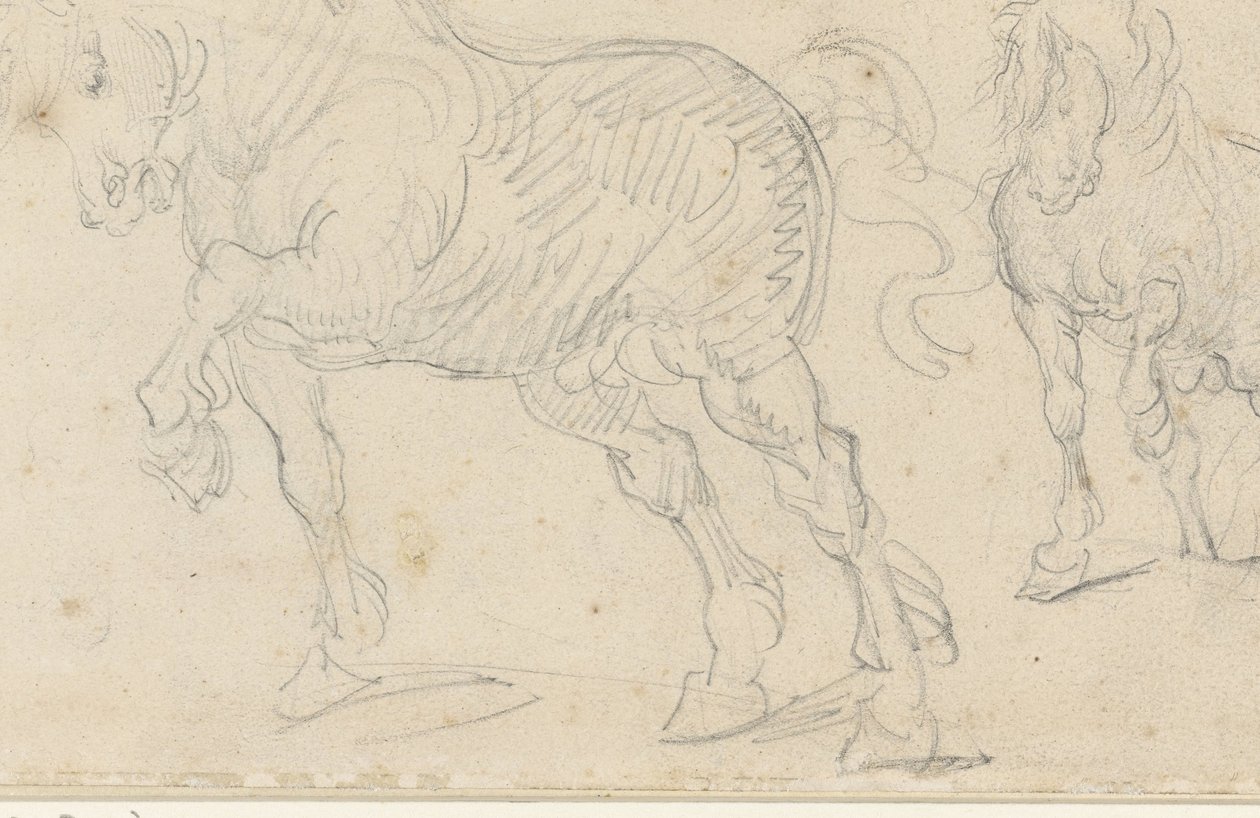 Études sur les chevaux - Theodore Gericault