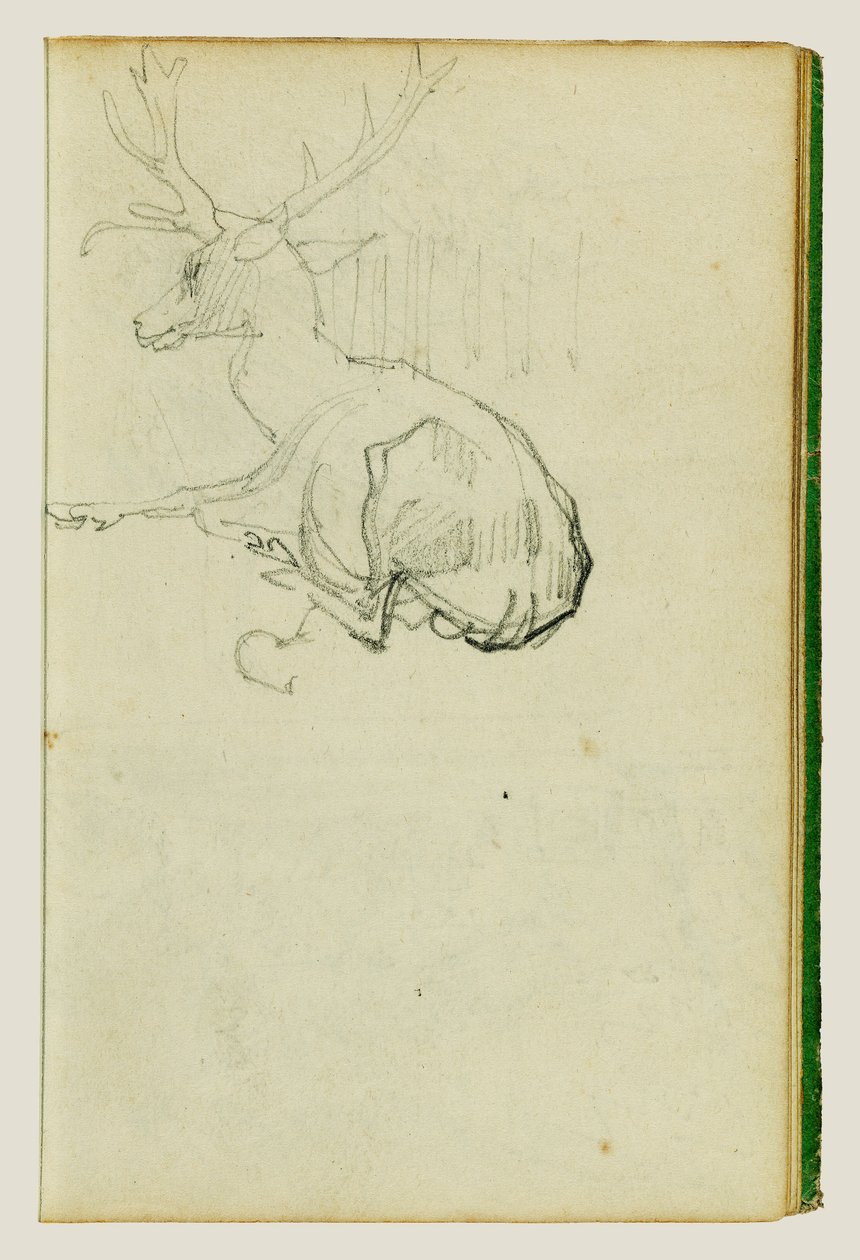 Cerf assis - Theodore Gericault