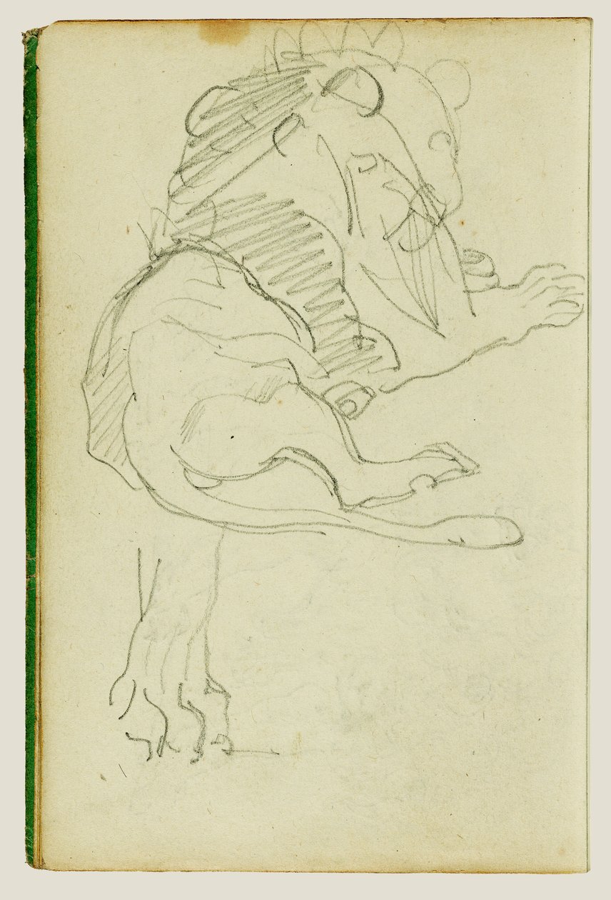 Lion assis - Theodore Gericault