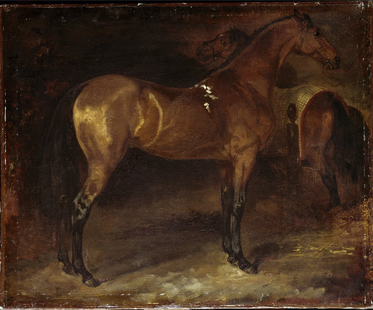 Cheval espagnol - Theodore Gericault