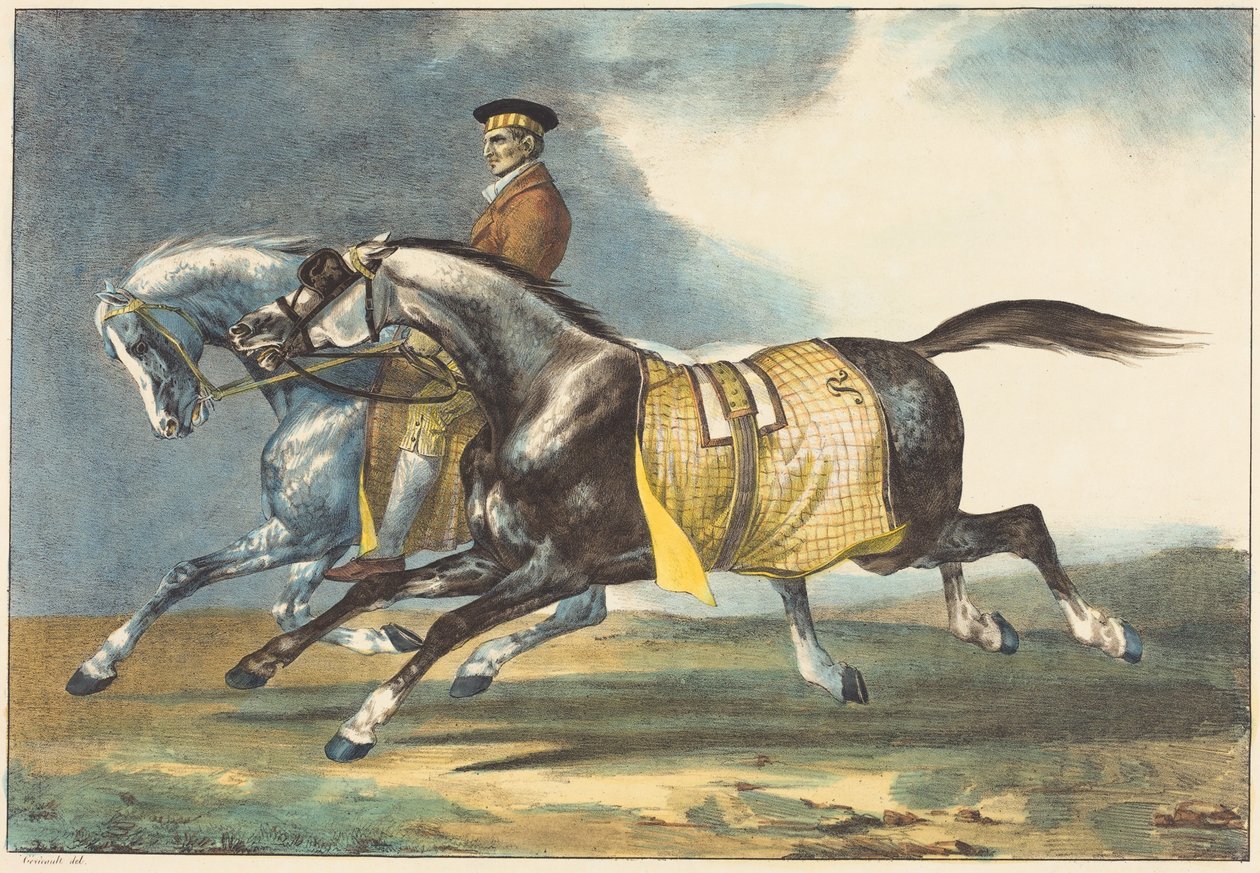 Deux chevaux gris pommelés que l