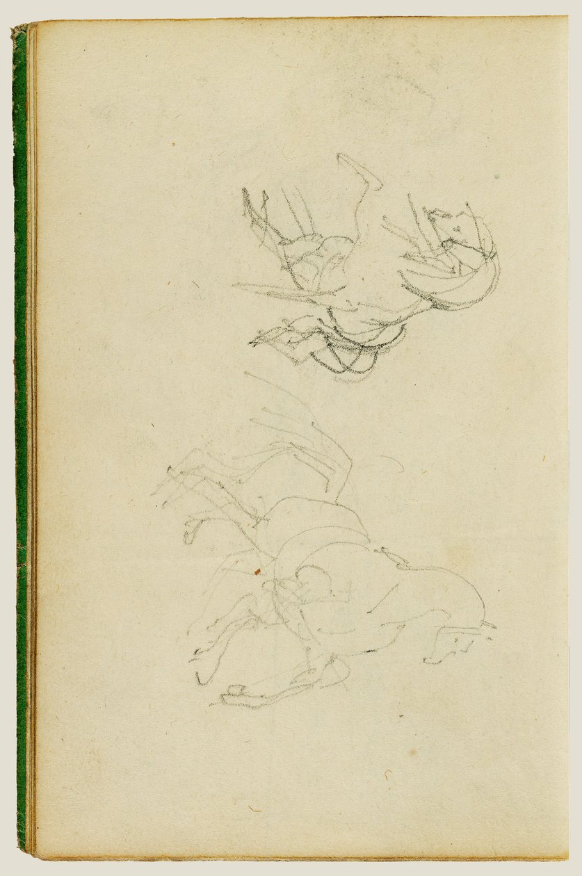 Deux études sur un cheval en élevage - Theodore Gericault