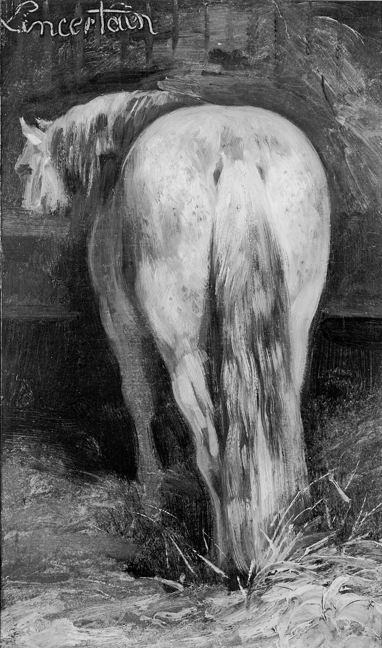 Incertain, le cheval dans l