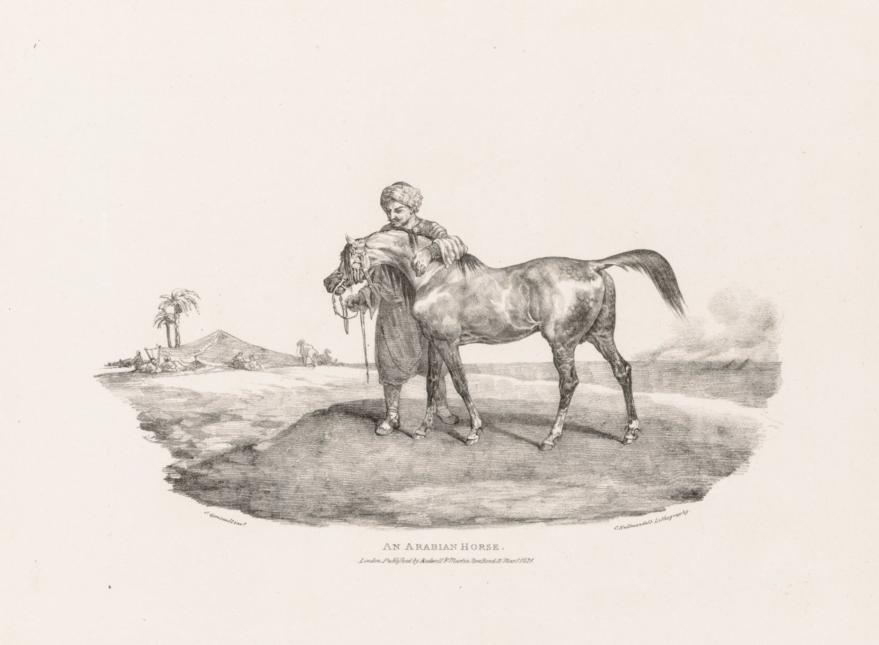 Divers sujets dessinés d