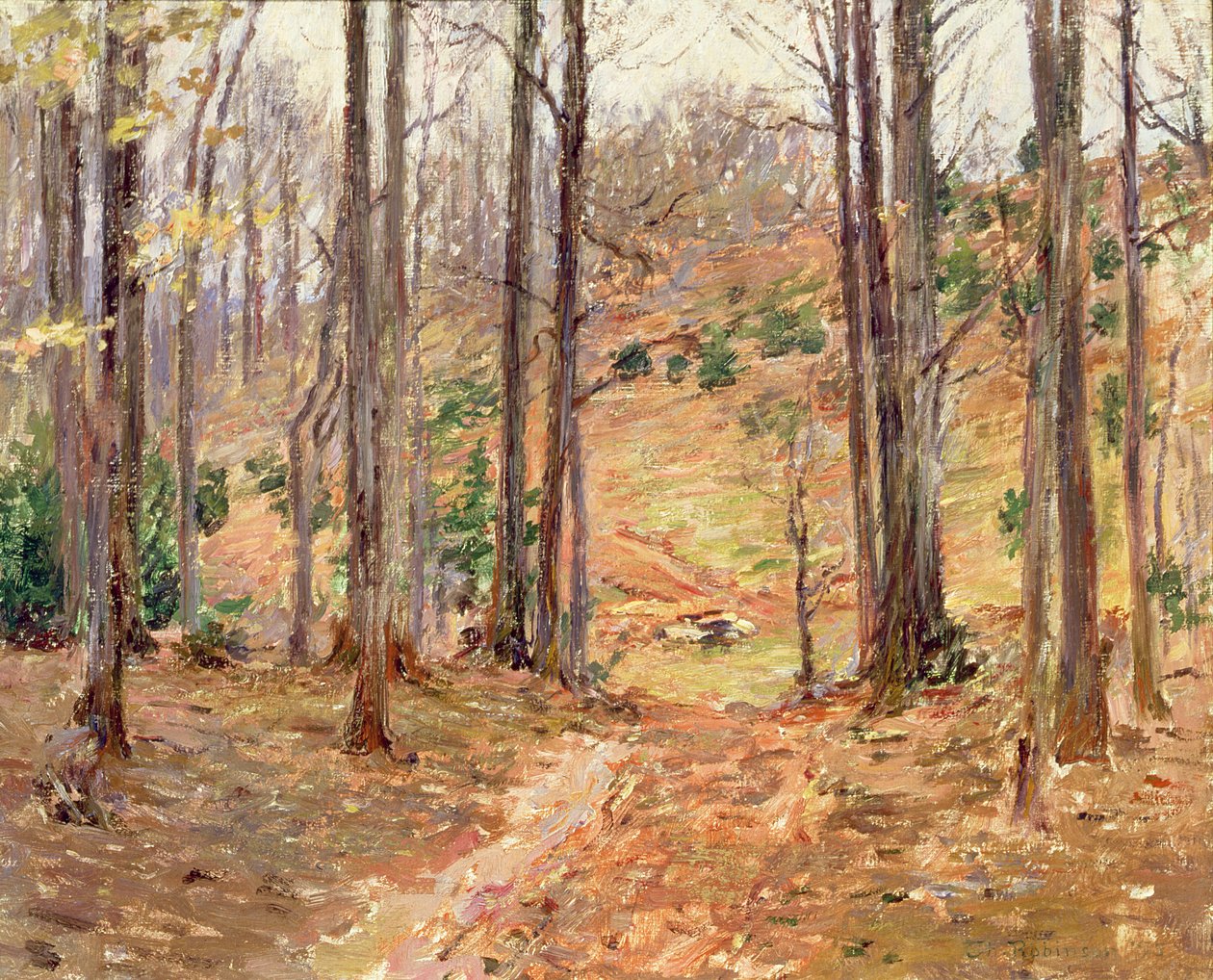 Bois de Virginie, 1893 - Theodore Robinson