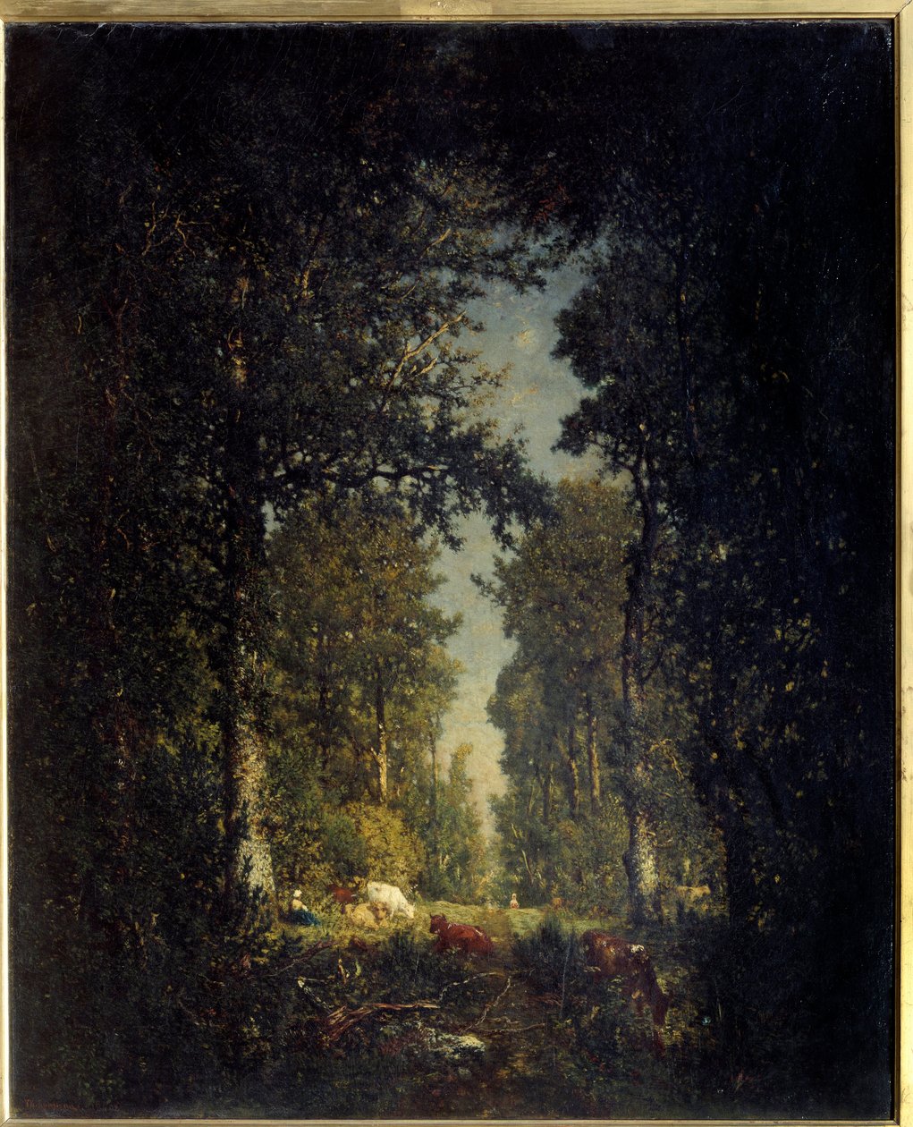 Une avenue, forêt de l