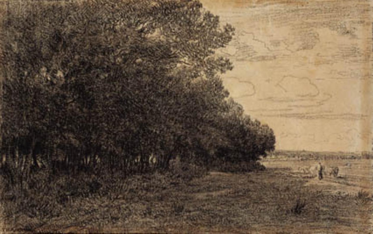 Un petit groupe de grands arbres près de la forêt de Macherin - Theodore Rousseau