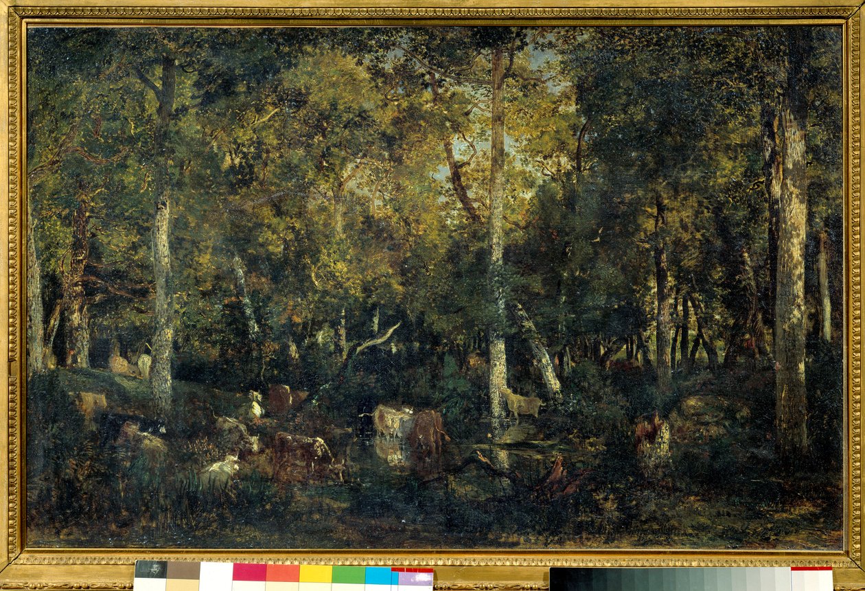 Intérieur de bois dit le Vieux Dormoir du Bas-Bréau (Forêt de Fontainebleau) - Pierre Etienne Theodore Rousseau