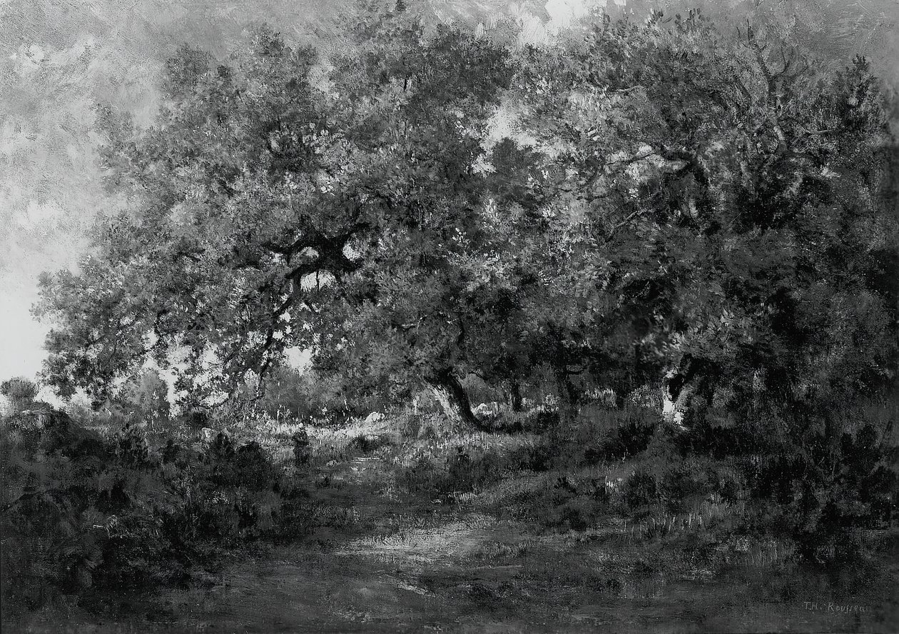 Paysage, vers 1860 - Theodore Rousseau
