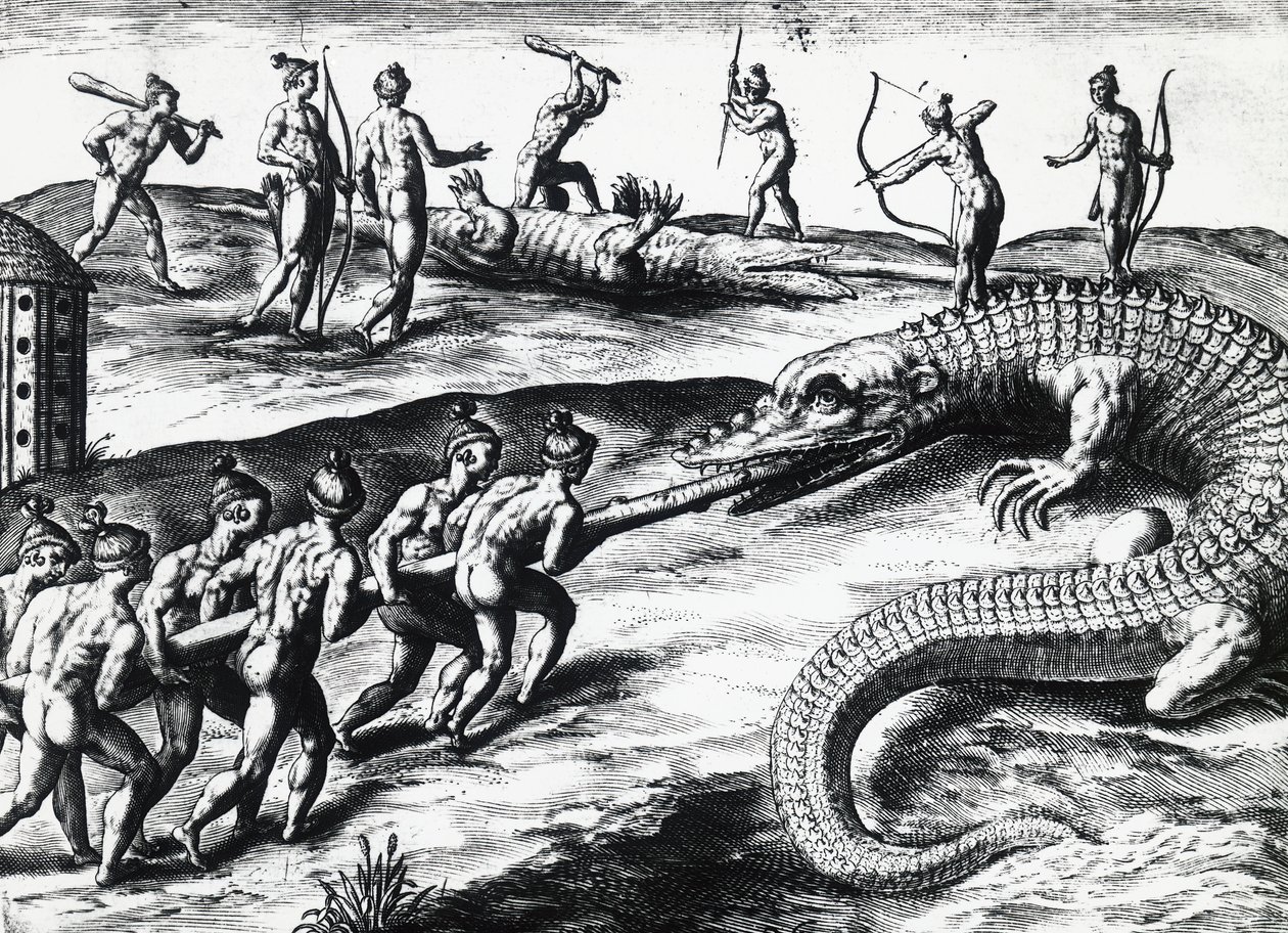 Chasse au crocodile en Floride, d