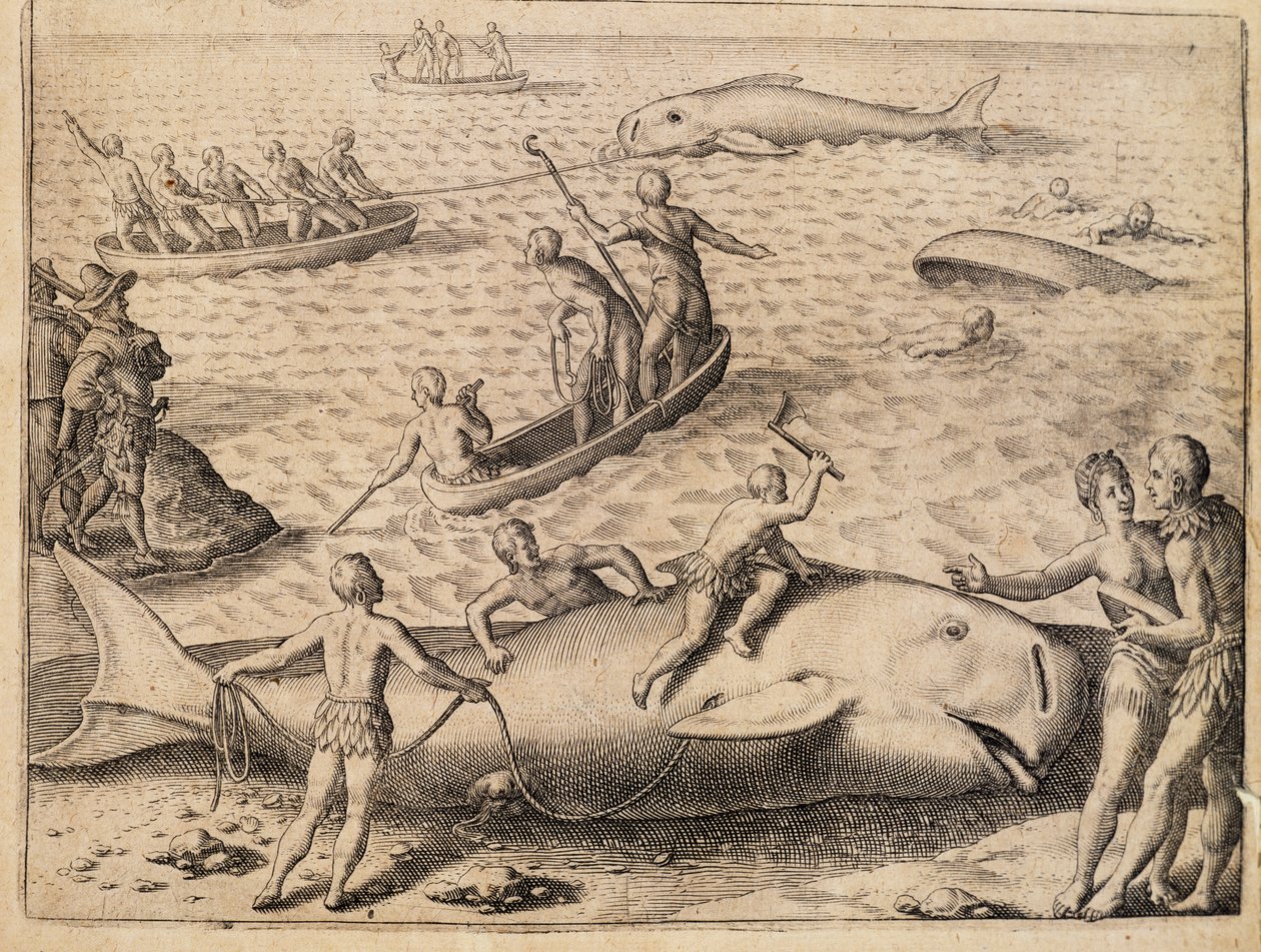 Chasse à la baleine près de Spitsbergen, gravure de Theodor de Bry (1528-1598) de India Orientalis (Inde Orientale) - Theodore de Bry